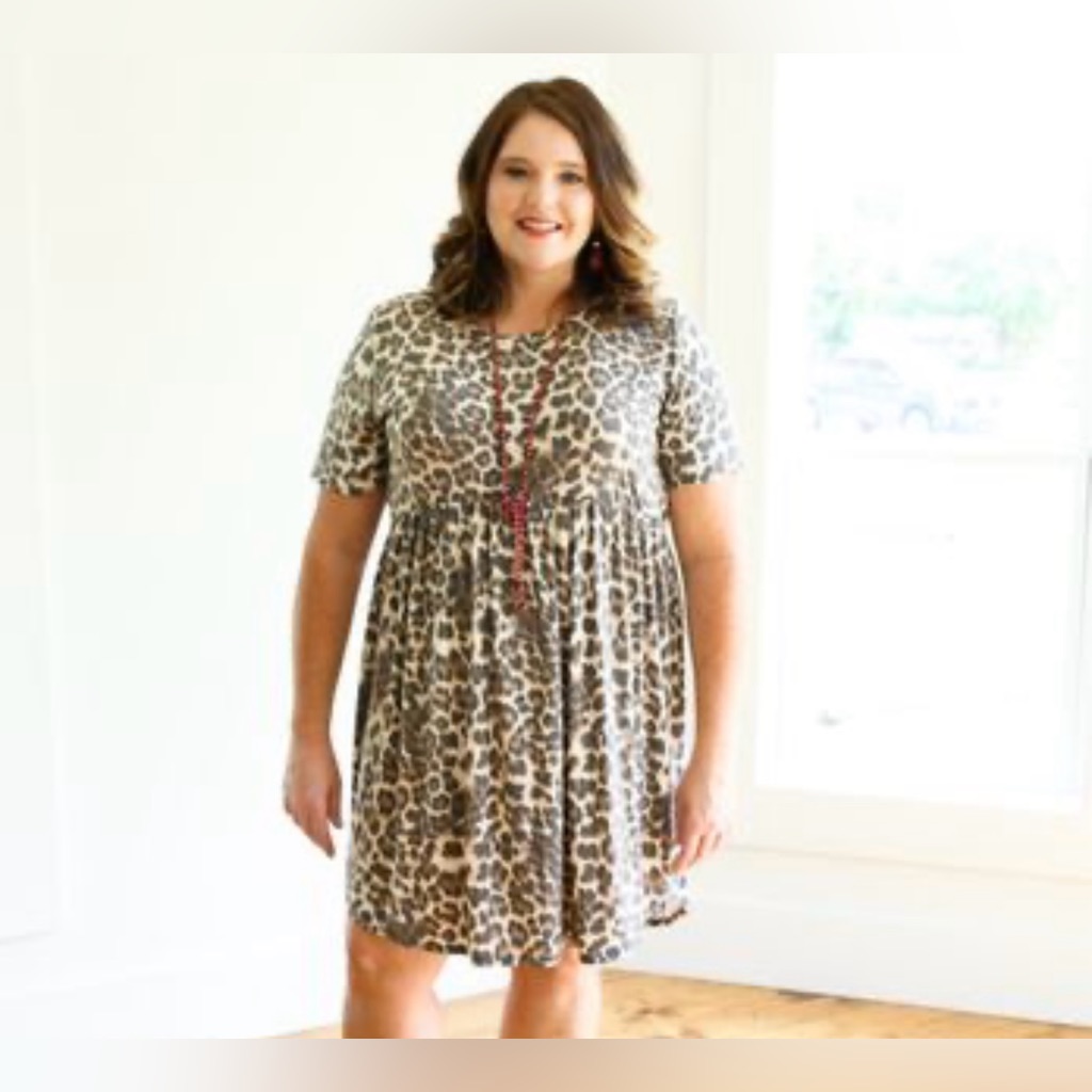 Heimish Babydoll Dress